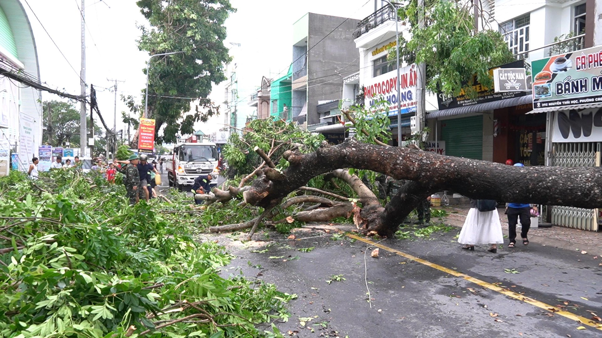 Cây xanh ngã đổ làm chắn ngang tuyến đường Nguyễn Thái Học tại phường Cao Lãnh.jpeg