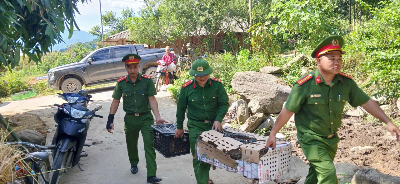 Phong Dụ Thượng 5.jpg