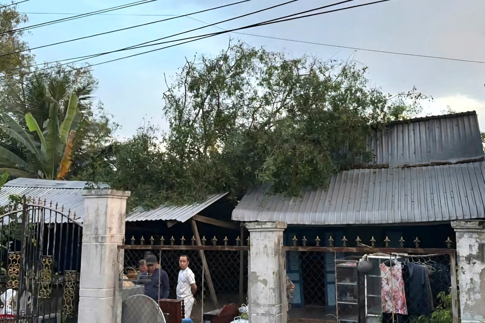 CAX Dai Ngai khac phuc giong loc (1).jpg