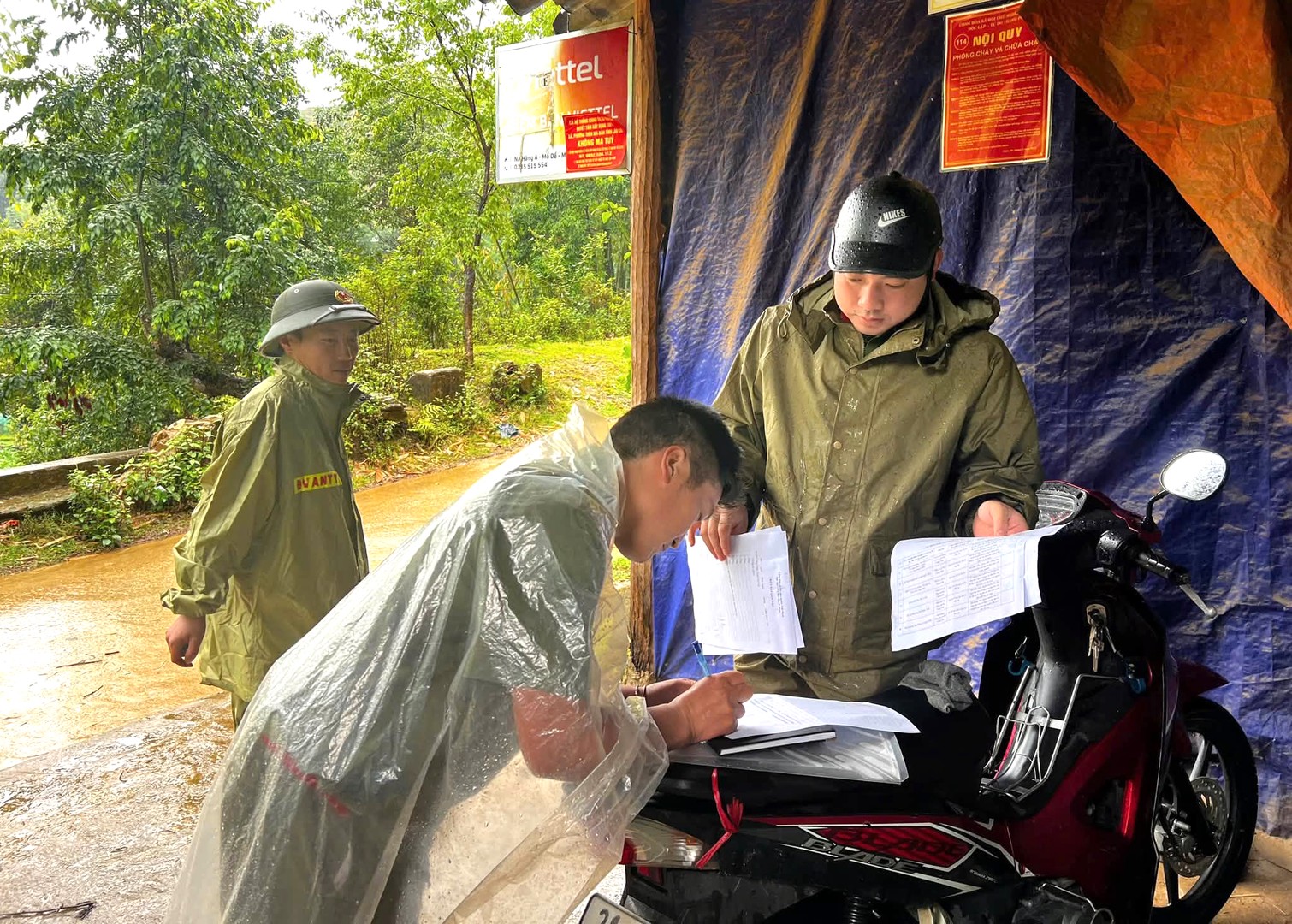 ANH7.jpg