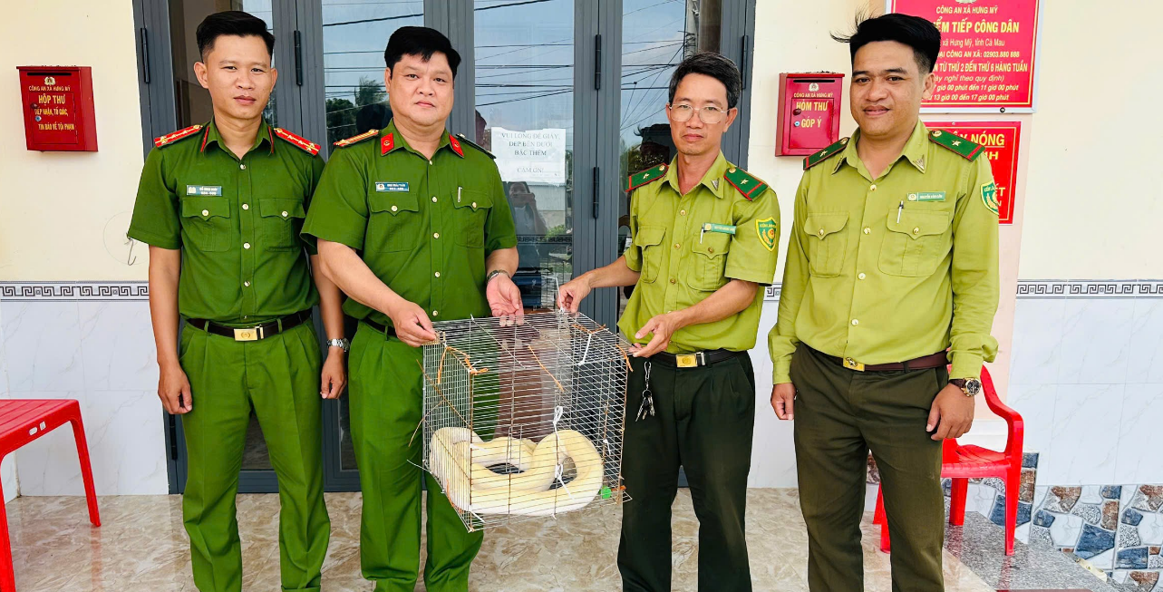 Công an xã bàn giao cá thể trăn cho Hạt kiểm lâm Phú Tân thả về môi trường tự nhiên theo quy định.png