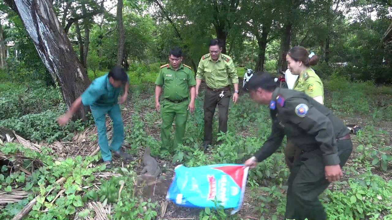 Công an phường Hiệp Thành cùng Ban quản lý rừng Đặc dụng – Phòng hộ Bạc Liêu thả cá thể Kỳ đà hoa về lại với môi trường thiên nhiên.JPG
