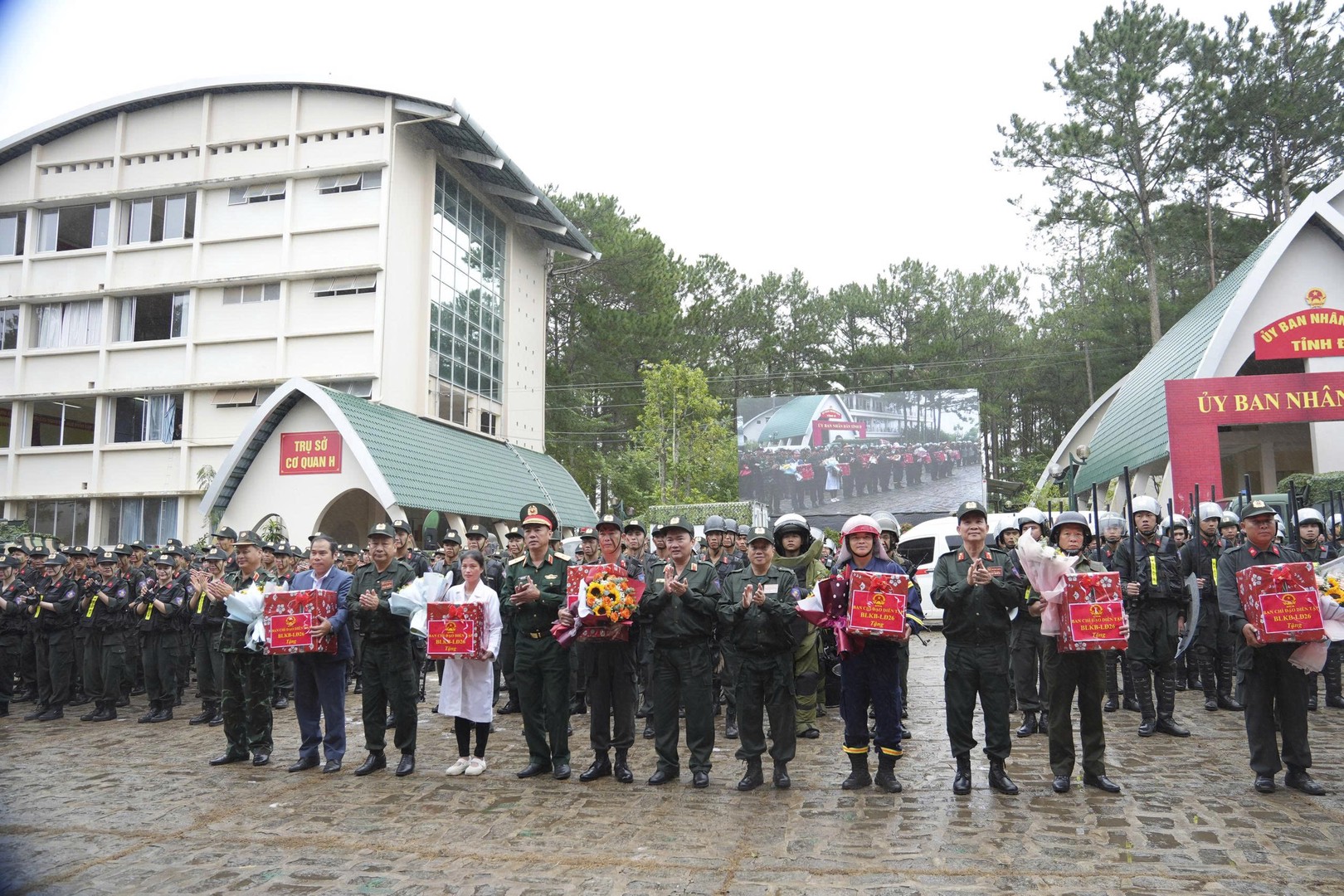 dongvien1.jpg