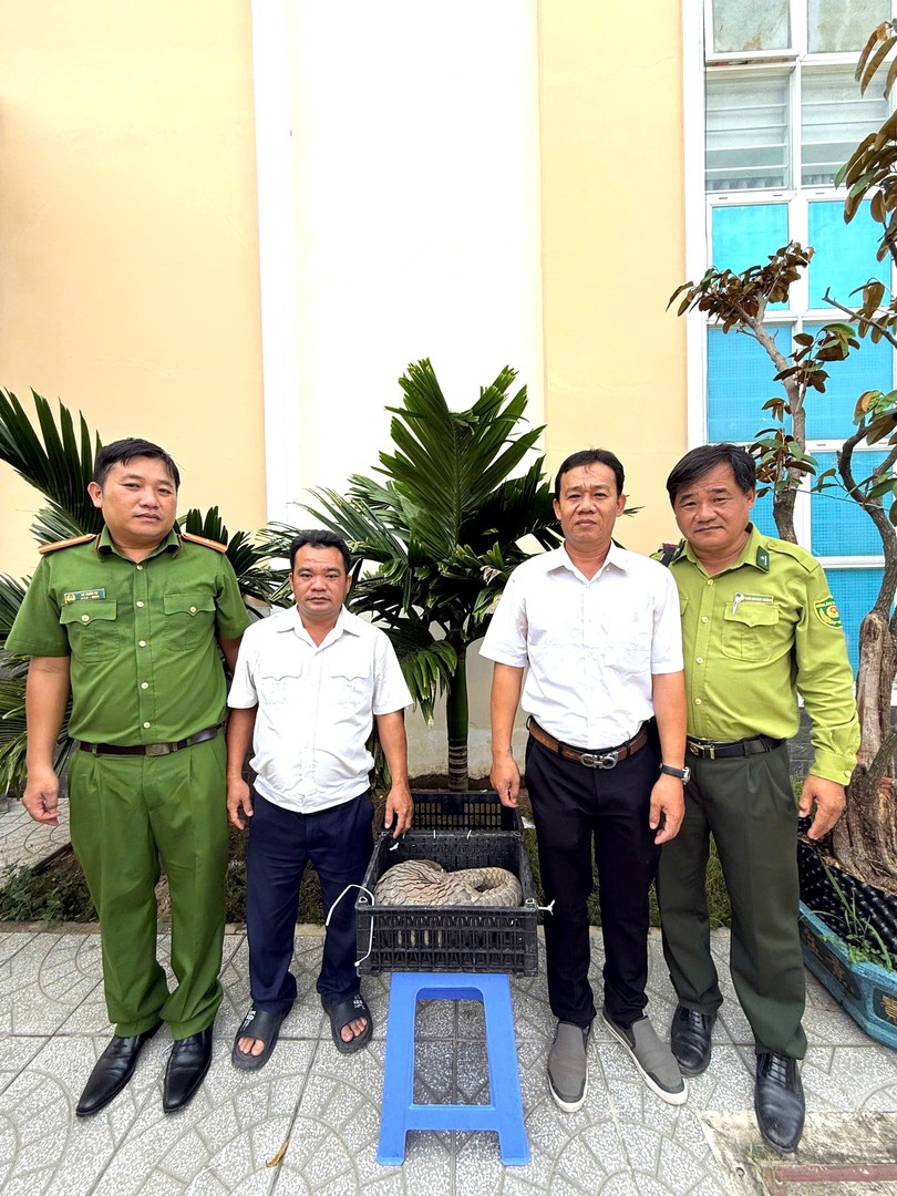 Công an phường bàn giao cá thể tê tê cho cơ quan chức năng.jpg