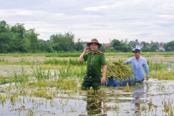 long phụng.jpeg