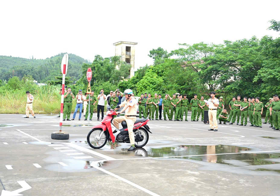 CD5.jpg