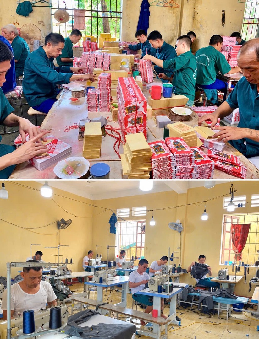 Hoạt động tại các khu lao động trị liệu.jpg