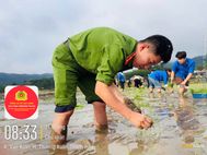 Đẹp mãi hình ảnh chiến sĩ Công an xuống đồng cùng Nhân dân cấy lúa