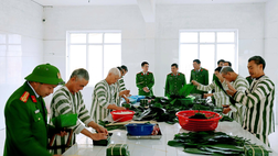 Công an Ninh Bình tổ chức cho phạm nhân thi gói bánh chưng và giao lưu thể thao nhân dịp Tết cổ truyền dân tộc