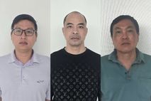 Công an tỉnh Tuyên Quang liên tiếp khởi tố 03 Giám đốc công ty trốn thuế tổng số tiền trên 1,8 tỷ đồng