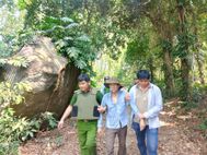 Quảng Ngãi: Công an xã Sơn Tịnh bắt giữ đối tượng gây án cố thủ trên núi