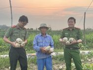 Giải cứu nông sản và hỗ trợ người nghèo: Công an xã triển khai phong trào thi đua bằng những việc làm thiết thực