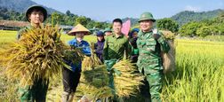 Công an xã Môn Sơn, tỉnh Nghệ An hỗ trợ gia đình có hoàn cảnh khó khăn thu hoạch lúa