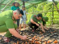 Mở ra hướng đi mới trong phát triển kinh tế bền vững từ những vườn ươm nghĩa tình quân dân