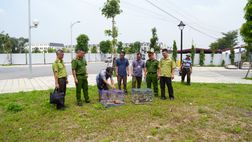 Triển khai hiệu quả các giải pháp bảo vệ động vật hoang dã 