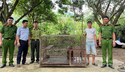 Hiệu quả từ công tác tuyên truyền, vận động của Công an tỉnh Lào Cai trong bảo vệ động vật hoang dã