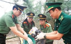 Phụ nữ Công an Ninh Bình chung tay làm sạch biển, tặng quà ngư dân khu vực biên giới biển