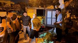 Phát hiện, bắt quả tang đối tượng vận chuyển, mua bán 289 bình “khí cười”