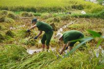 Sắc áo xanh xuống đồng giúp dân vượt qua khó khăn mùa ngập úng