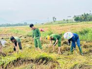 Công an tỉnh Quảng Ngãi khẩn trương xuống đồng hỗ trợ Nhân dân thu hoạch lúa trước tình hình mưa lớn kéo dài