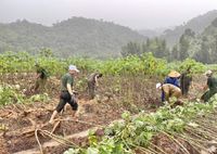 Công an Đắk Lắk giúp dân thu hoạch nông sản "chạy lũ"