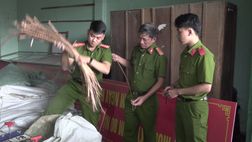 Công an phường nhanh chóng bắt giữ đối tượng trộm cắp, bảo đảm an ninh trật tự trên địa bàn.