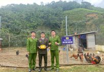 Lạng Sơn: Tuổi trẻ Công an xã Thiện Hòa lan tỏa tinh thần lao động, tiết kiệm từ công trình vườn – chuồng