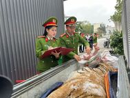 Thanh Hóa: Triệt phá đường dây mua bán, nấu cao hổ Nhóm IB, khởi tố, bắt tạm giam 2 bị can