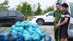 Phát hiện hàng loạt xưởng sản xuất giá đỗ sử dụng chất cấm tại tỉnh Quảng Ninh