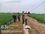 Hải Phòng: Cảnh báo việc dùng điện để bẫy, bắt, diệt chuột trong sản xuất, trồng trọt