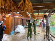Khẩn trương hỗ trợ người dân khắc phục hậu quả mưa dông trên địa bàn xã Púng Luông, tỉnh Lào Cai