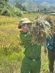 Đẹp mãi hình ảnh người chiến sĩ Công an tỉnh Quảng Ngãi trong mùa vàng Xốp