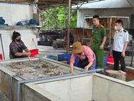 Bắc Ninh: Phát hiện, xử lý cơ sở kinh doanh hơn 03 tấn ruột lợn bốc mùi, không rõ nguồn gốc