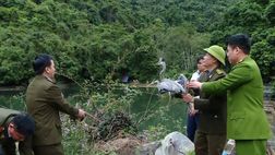 Công an Hải Phòng quyết liệt ngăn chặn vi phạm về bảo vệ động vật hoang dã