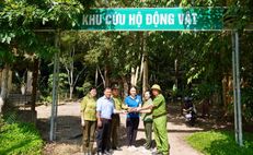 Quảng Ngãi: Công an xã Ba Tô vượt gần 300 km bàn giao động vật rừng quý hiếm về môi trường tự nhiên