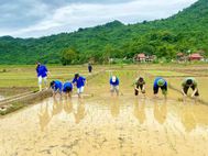 Hỗ trợ gia đình chính sách cấy lúa, tuổi trẻ Công an tỉnh Phú Thọ lan tỏa tinh thần vì Nhân dân phục vụ