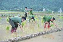 Xuống đồng sẻ chia, vun đắp nghĩa tình đồng đội
