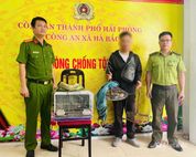 Hải Phòng: Phát hiện, xử lý đối tượng bẫy chim hoang dã