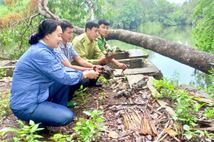 Chuyển biến rõ nét trong bảo vệ động vật hoang dã và nguồn lợi thủy sản tại tỉnh Cà Mau