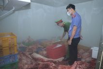 Hưng Yên: Tiêu hủy gần 1 tấn thịt lợn nghi nhiễm dịch tả lợn châu Phi