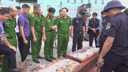 Công an Gia Lai: Lật tẩy thủ đoạn cất giấu hơn 1,1 tấn ngà voi trong 3 container gỗ