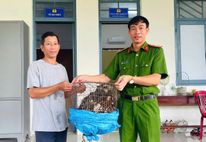Phát hiện cá thể diều hoa quý hiếm, người dân tự nguyện mang đến giao nộp Công an xã