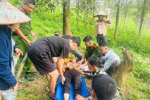 Lạng Sơn: Công an xã Điềm He vượt đường đồi đưa người dân gặp nạn đi cấp cứu