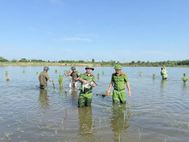 Hà Tĩnh: Công an các xã, phường chủ động ngăn chặn săn bắt chim hoang dã