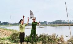 Chủ động phòng ngừa, đấu tranh bảo vệ động vật hoang dã, chim di cư và nguồn lợi thủy sản