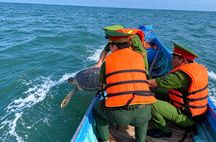 Chung tay bảo vệ động vật biển quý hiếm