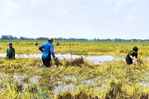 Công an cơ sở sát cánh cùng Nhân dân khắc phục ảnh hưởng trong mùa mưa giông