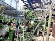Công an tỉnh Cao Bằng chung tay sửa chữa, hoàn thiện nhà ở cho các hộ dân có hoàn cảnh khó khăn vùng biên