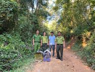 Điện Biên: Phạt 3 triệu đồng người nuôi nhốt trái phép chim hoang dã