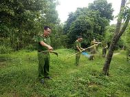 Công an tỉnh Tuyên Quang chung tay bảo vệ chim hoang dã trong mùa di cư